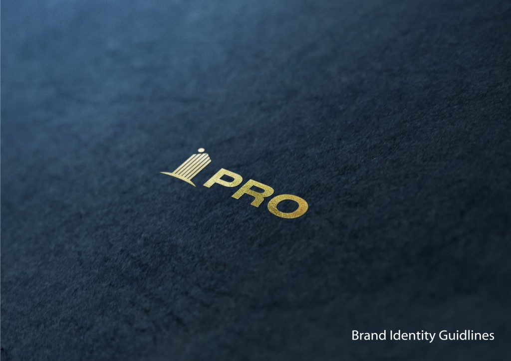 PRO Logo Guidelines – Capital Arts | Creative Graphic Solution